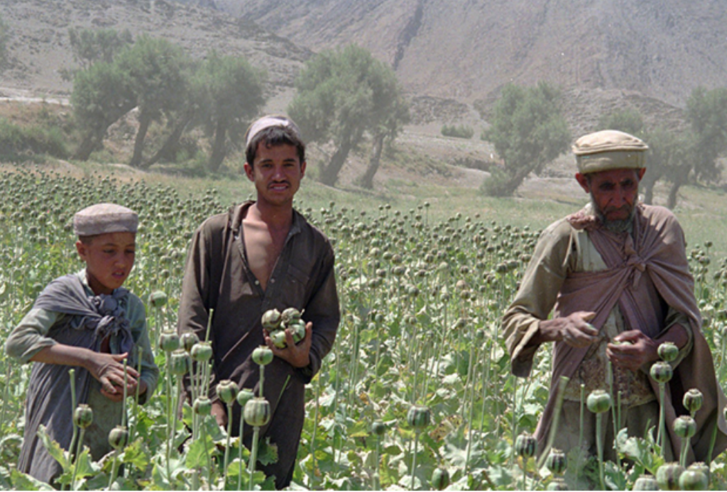 Taliban8
